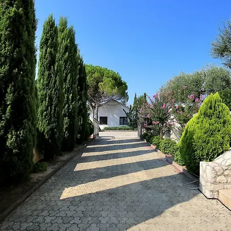 Clara Villa Kozino
